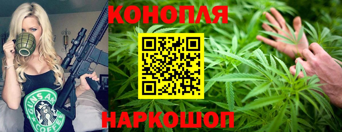 Каннабис планчик  Вход с VPN  Шишки марихуана индика  Куйбышев 